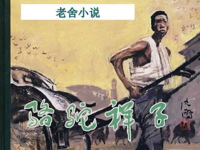 大象影视电脑版